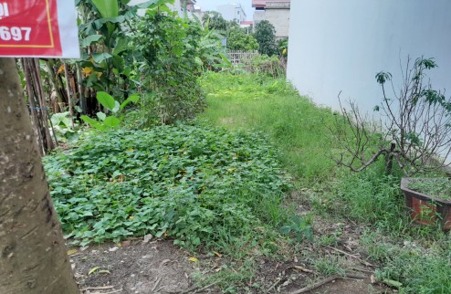 Bán gấp 72m2 đất MT 5.5m Xuân Canh - Đông Anh, lô góc, 2 ô tô tránh, kinh doanh chỉ 3 tỷ.